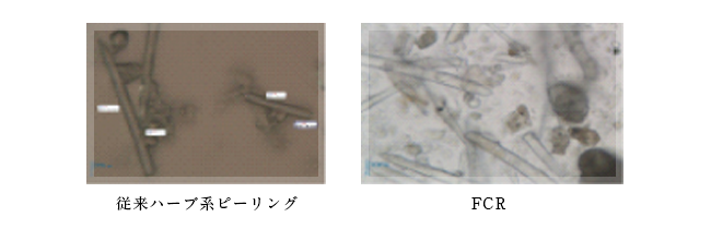 主成分
