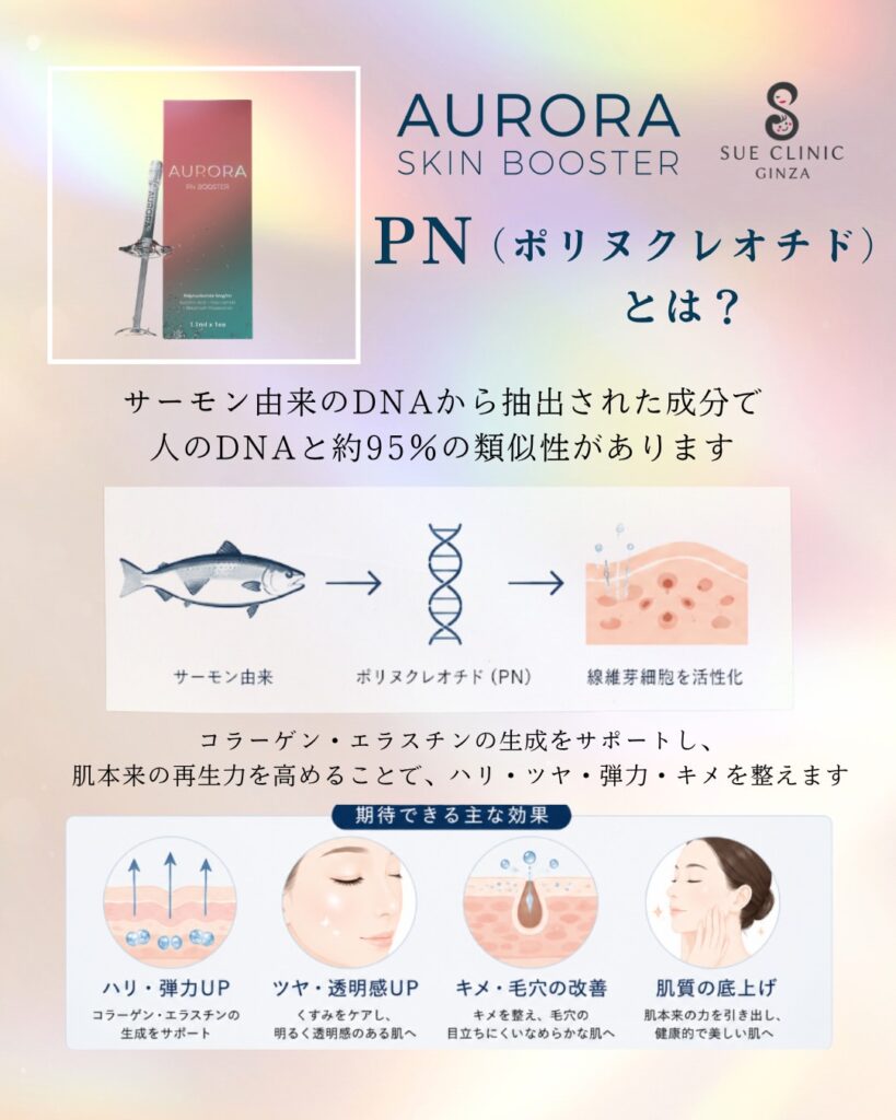 PNとは